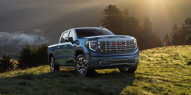 Sierra 1500 parked on grass